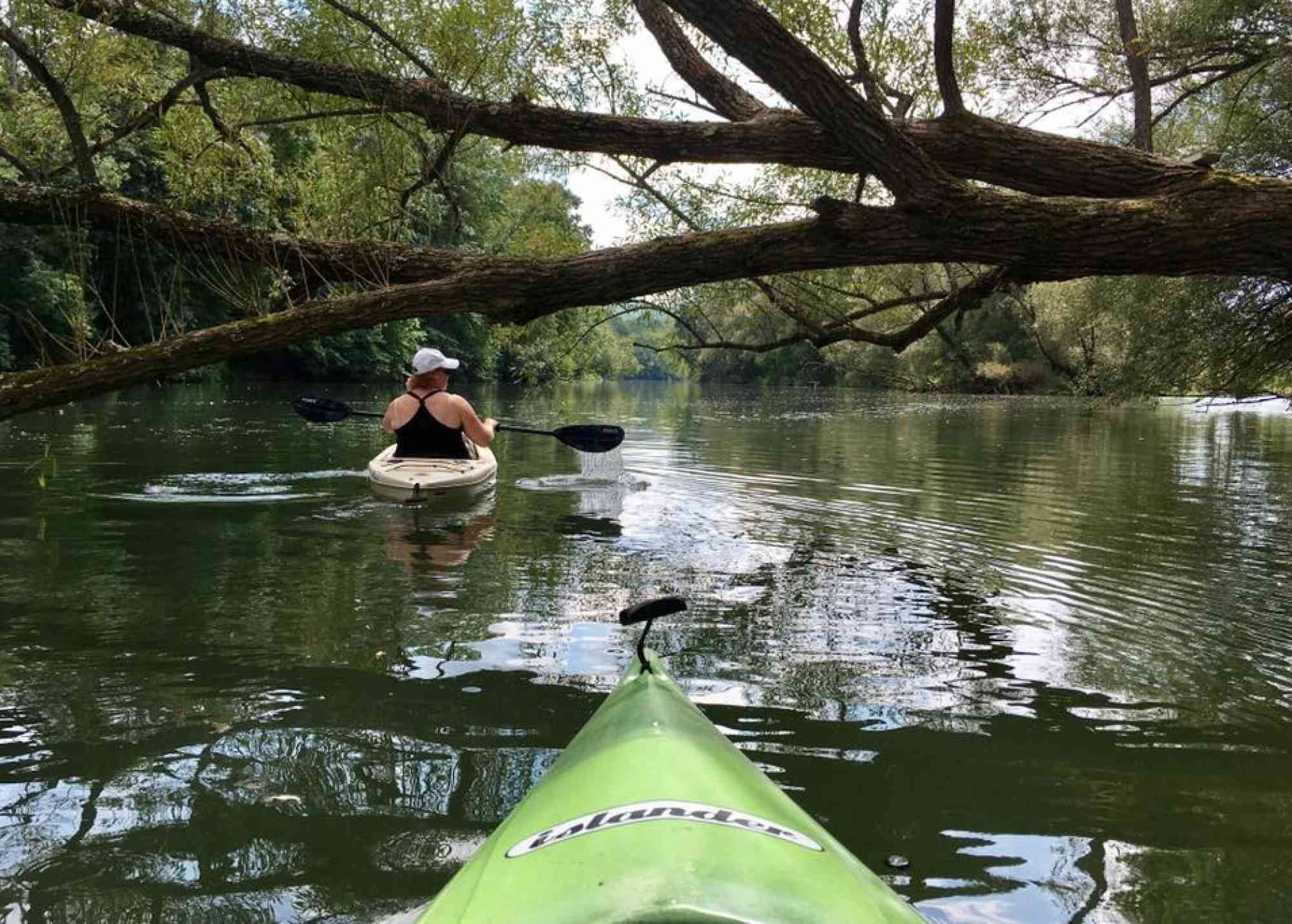 Kayak photo Nature Inn at Bald Eagle