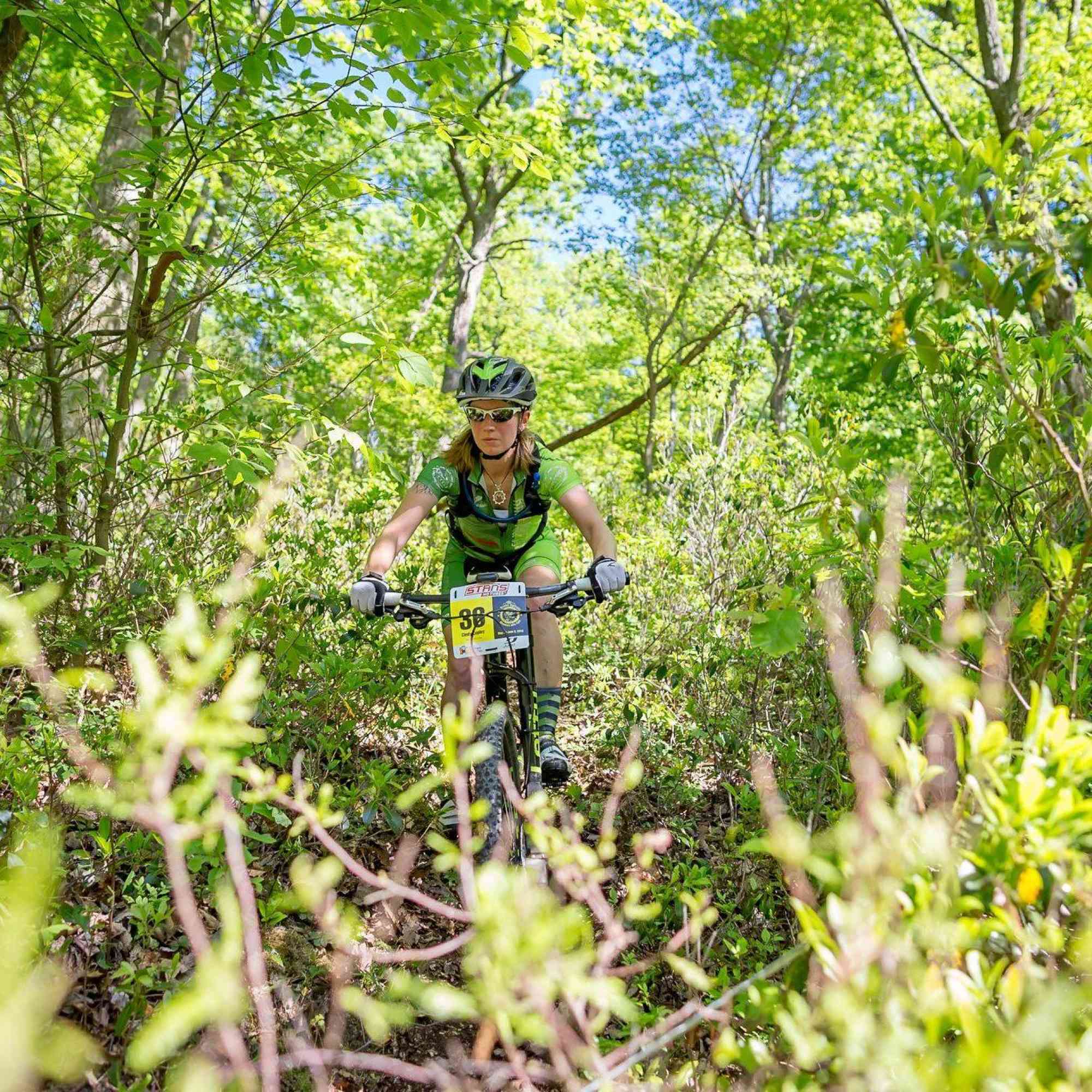 rothrock state forest mountain biking