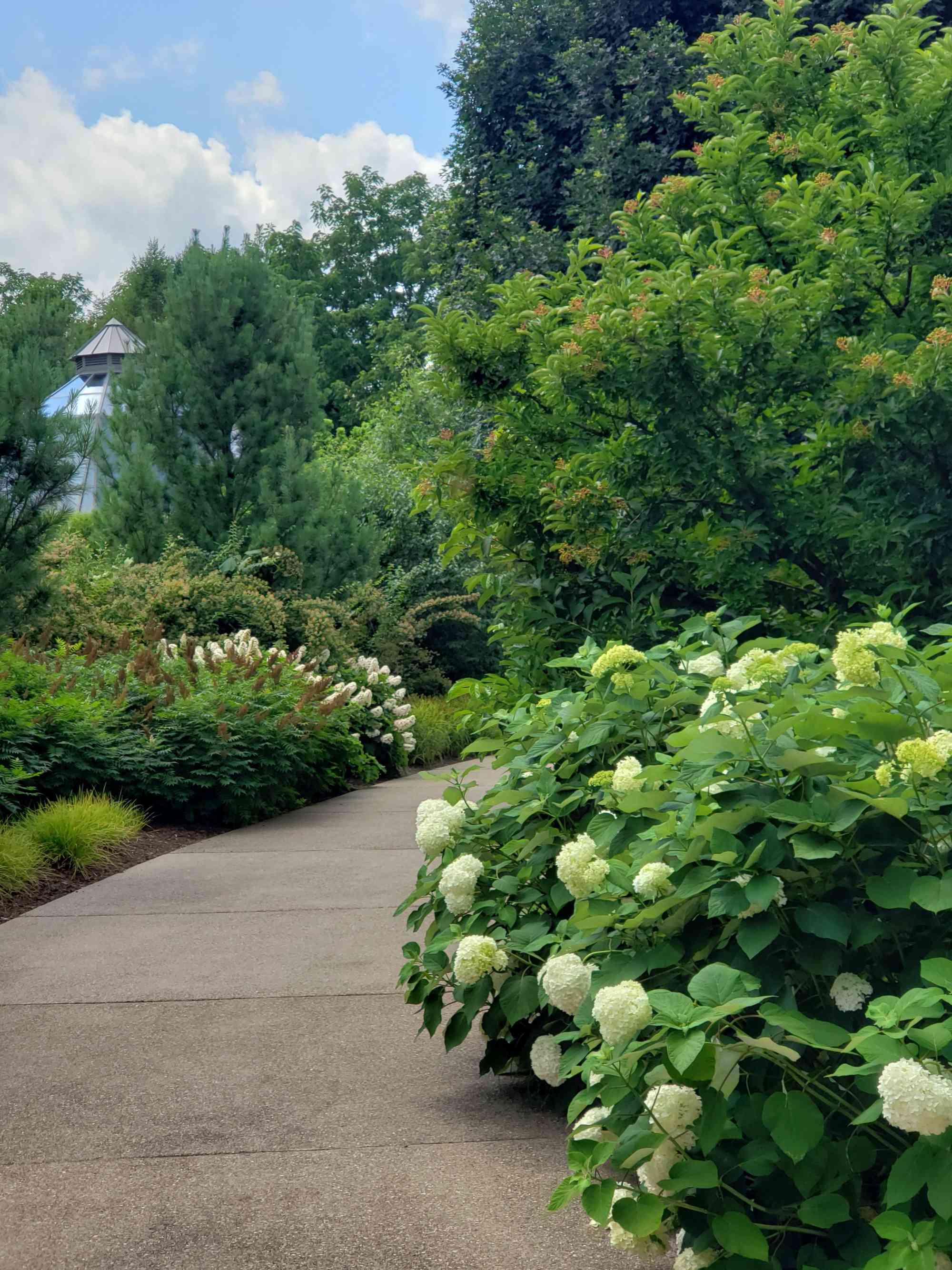 Arboretum_strolling20190705 145506