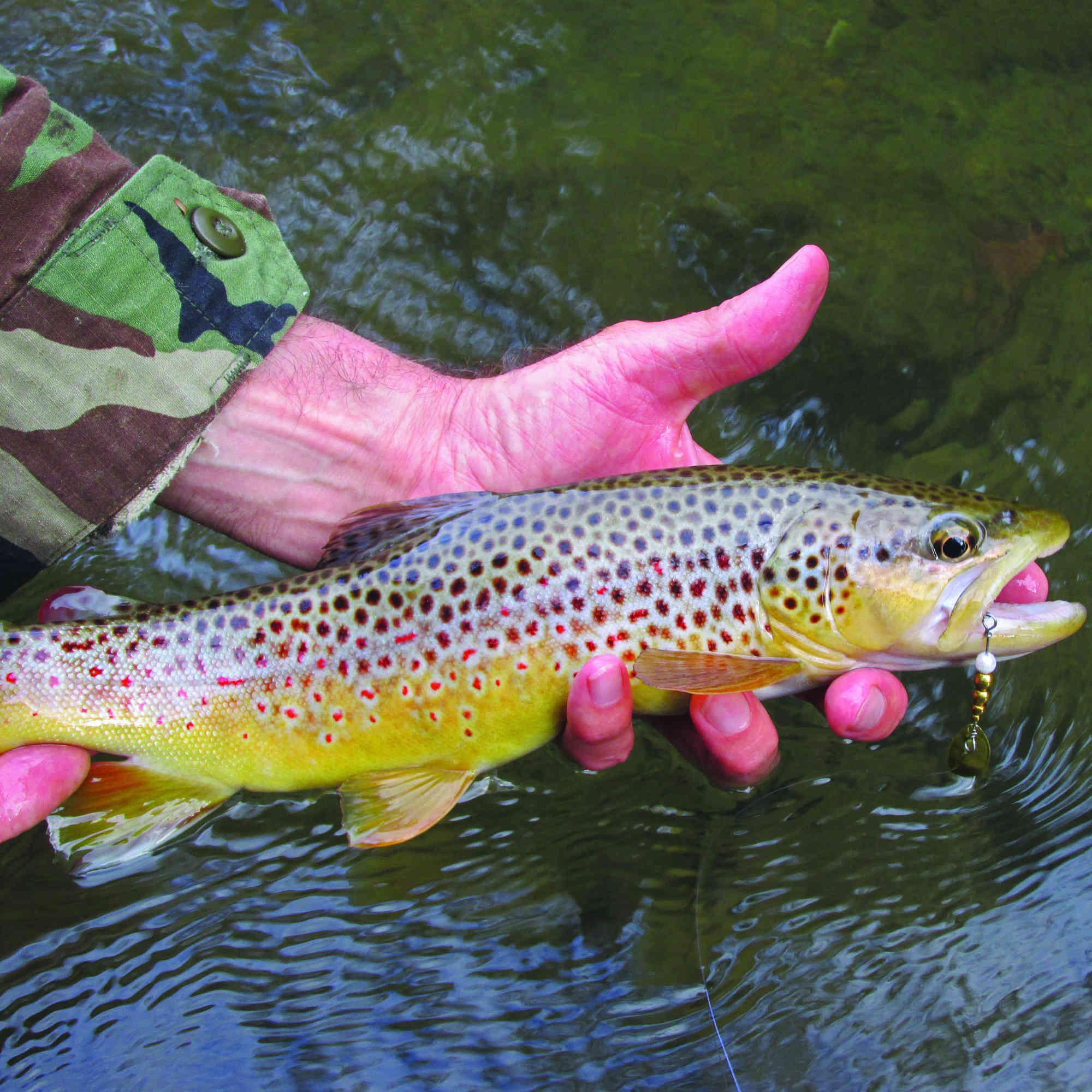 Pennsylvania trout fishing season: expert anglers suggest these baits on  opening day