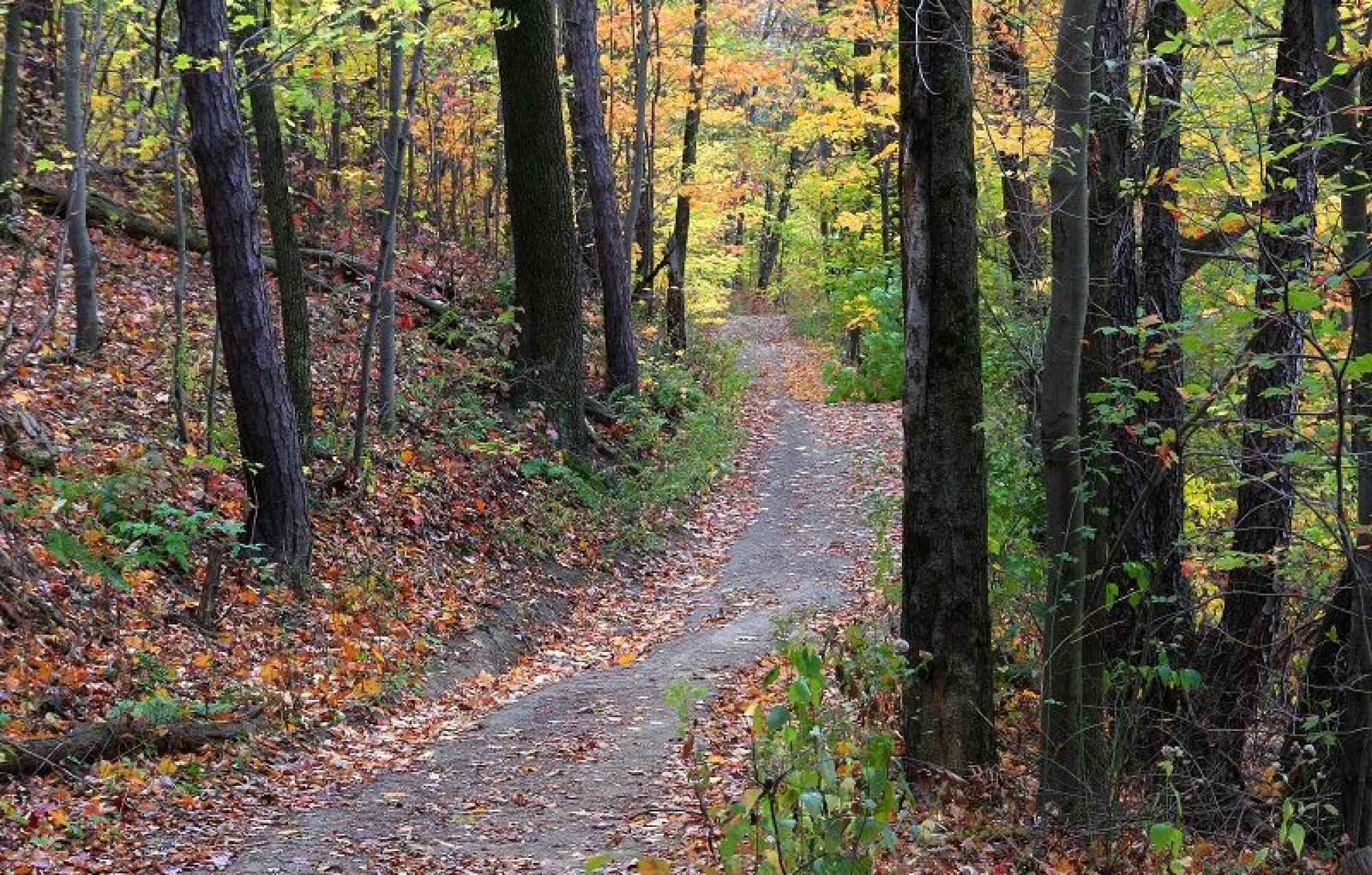 The 8 Best Hikes Near State College, PA The Adventure Bureau Dispatch