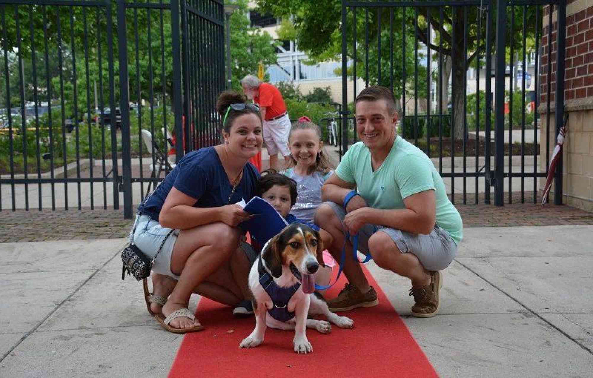 Bark at the Park Beagle