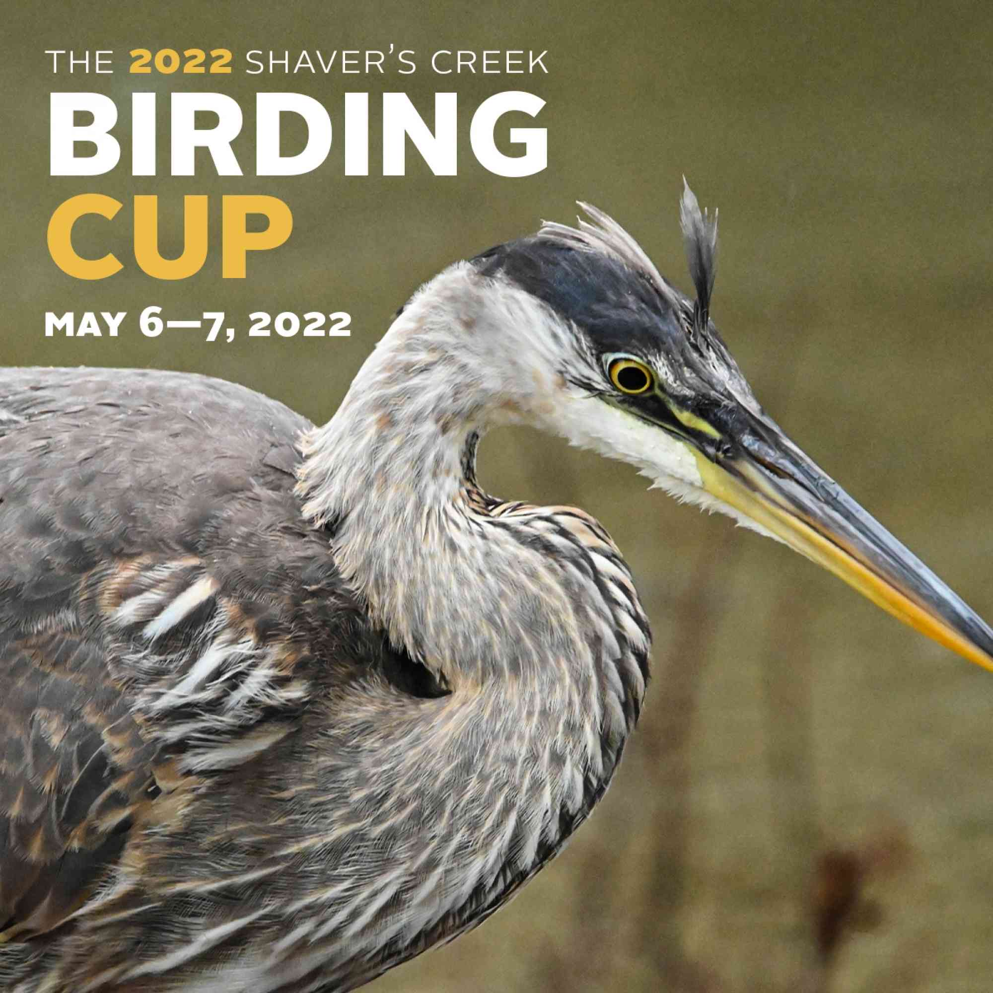 Birding Cup2022 Square