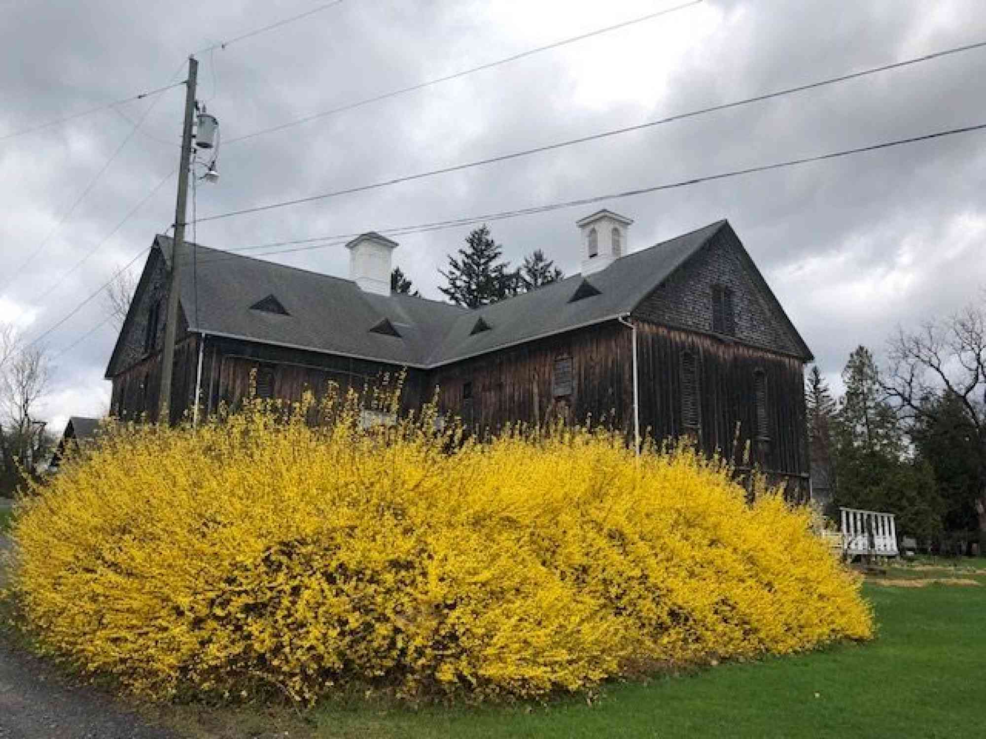 Boal Barn in springtime by Bob Cameron 2021