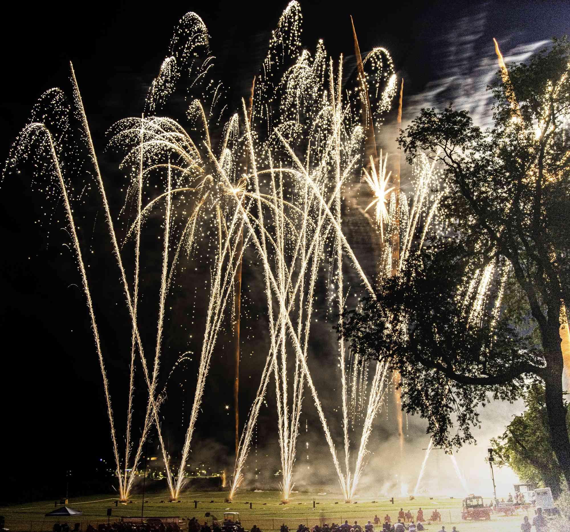 Central PA 4th Fest Fireworks Palmtrees DSC2834