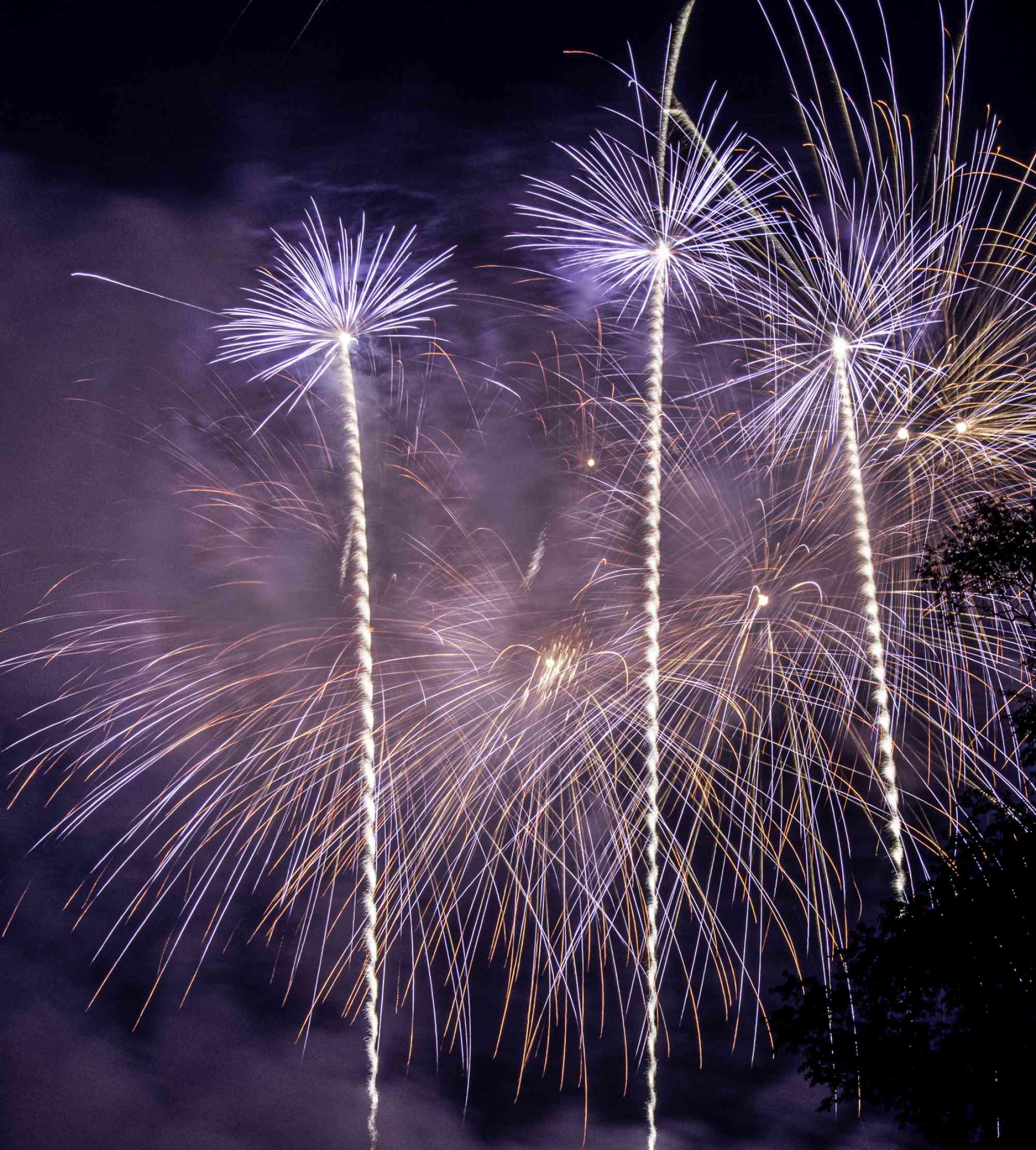 Fireworks 3palms by Bill Duffy