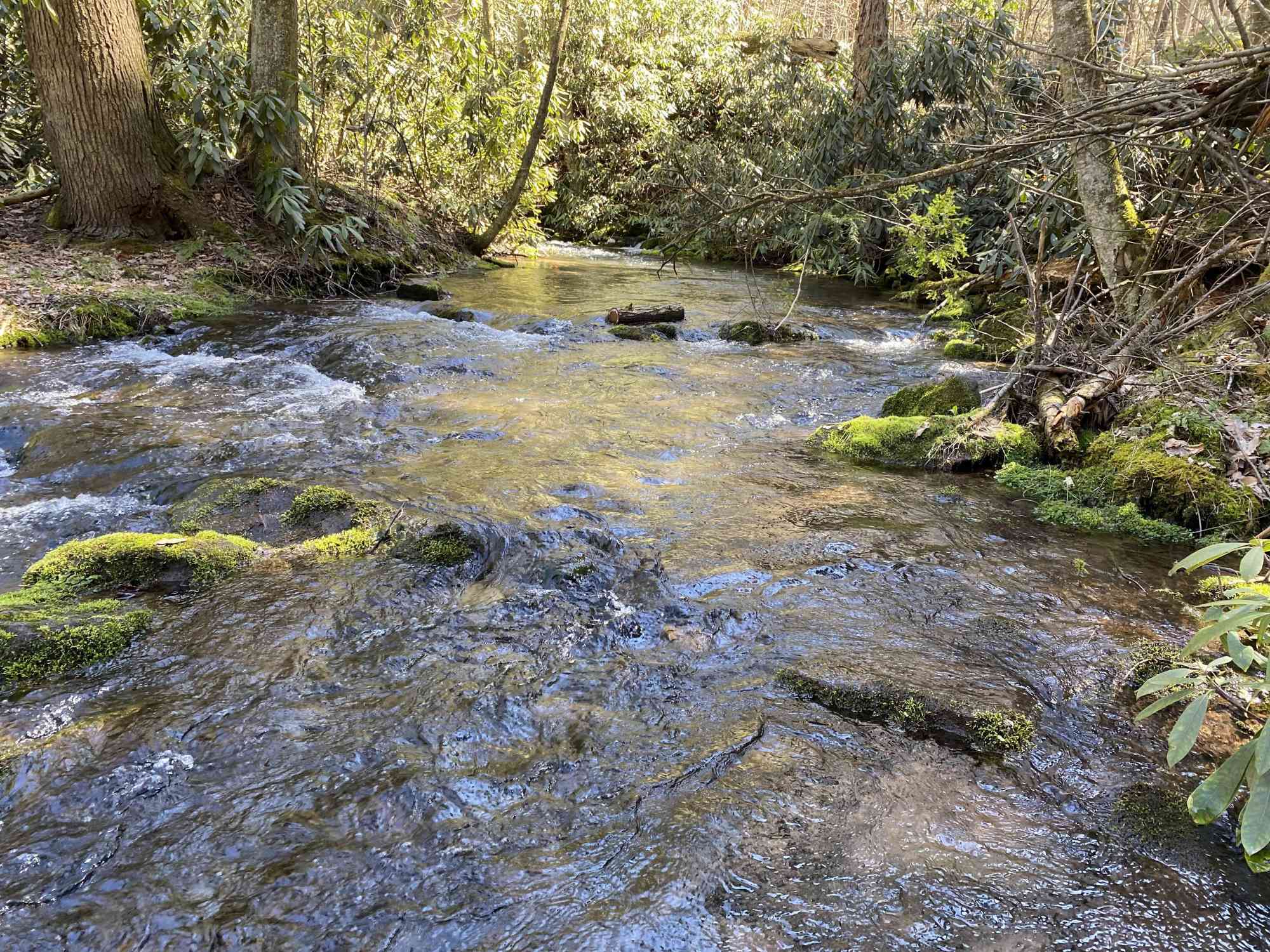 Galbraith Gap Stream2