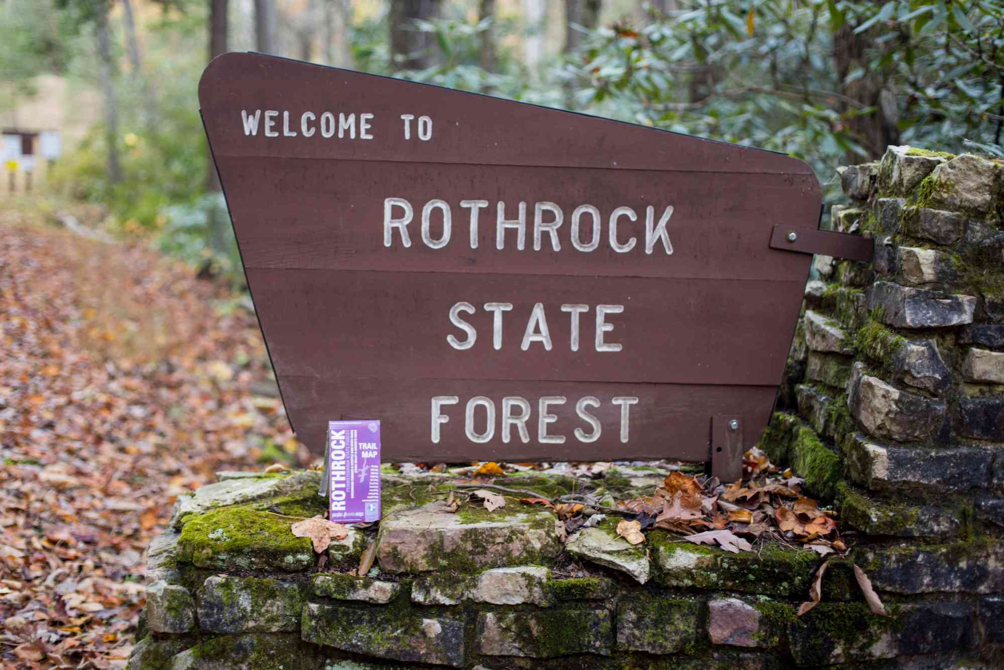 Lizard Rothrock Sign