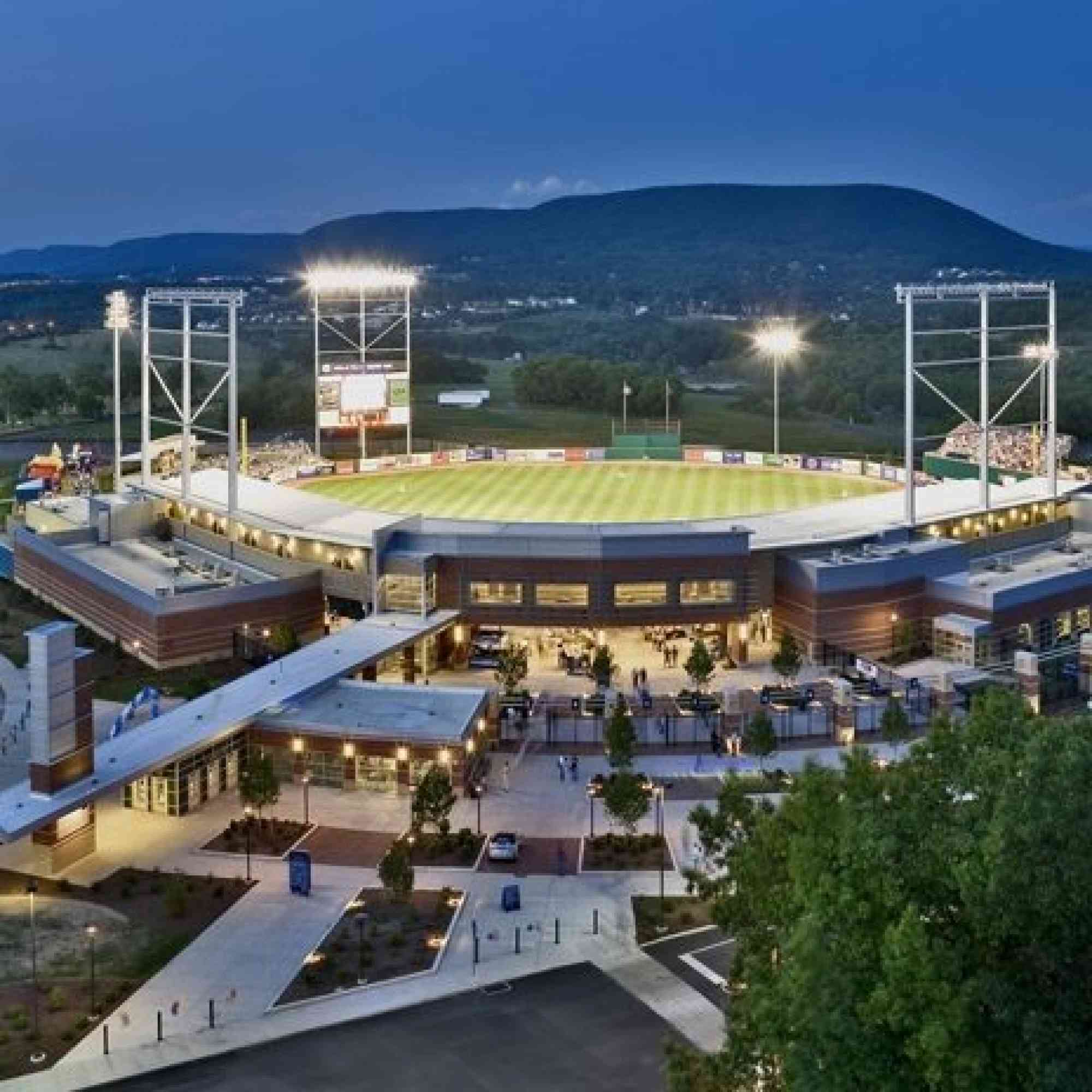 Medlar field spikes Night