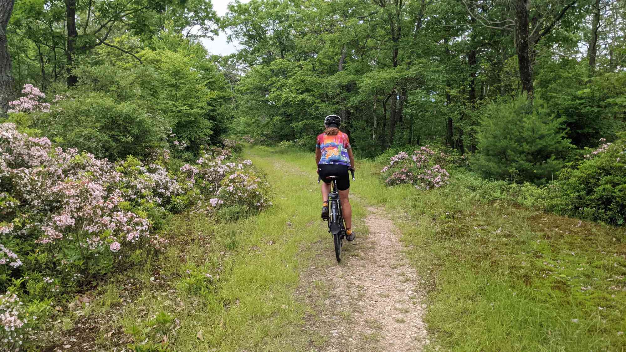 Happy Valley “A Mecca of Cycling”