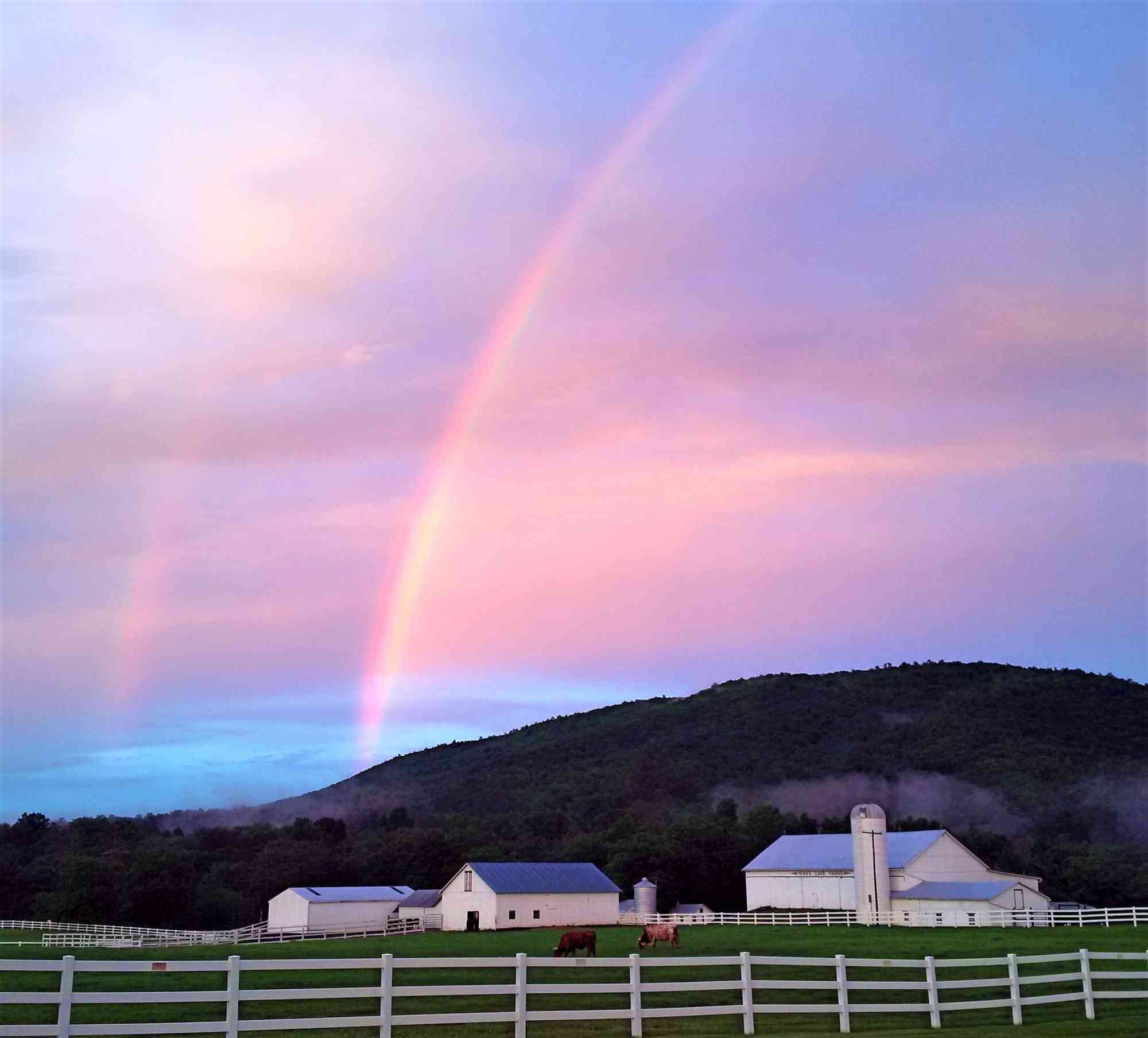 Rainbow Farm 2019