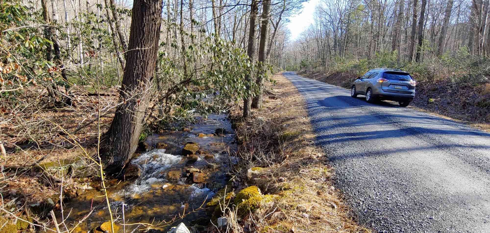 Rothrock Laurel Run Road