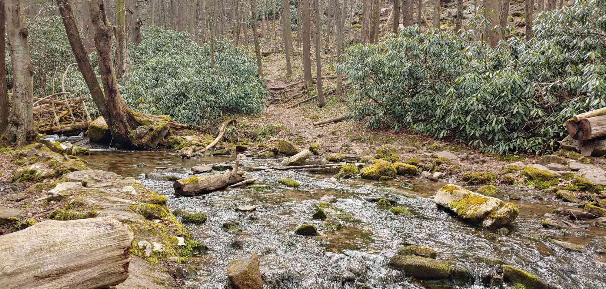 Shingletown Gap ecs0318201441 HDR