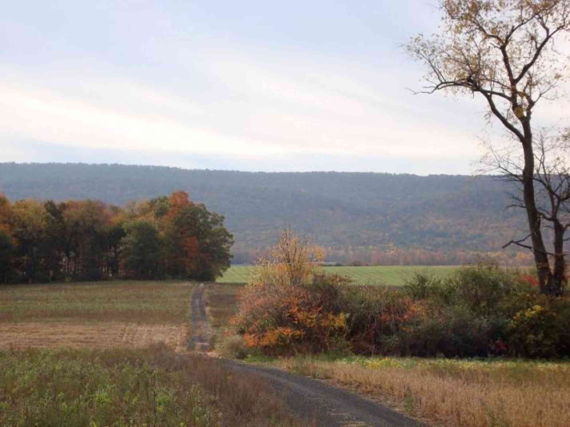 Whitehall Road Regional Park crpr wrrp photo fall