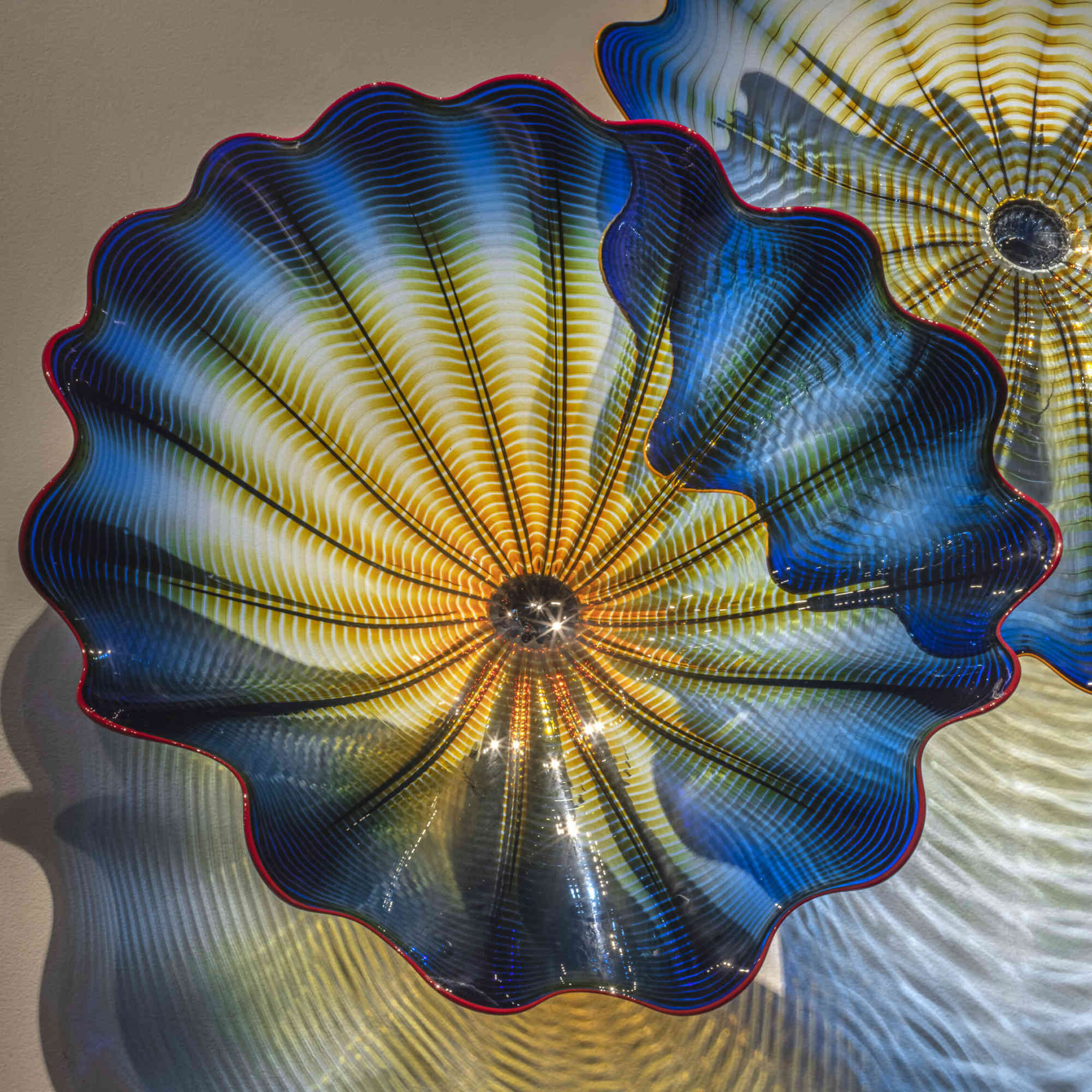 Dale Chihuly, Lupine Blue Persian Wall (detail)