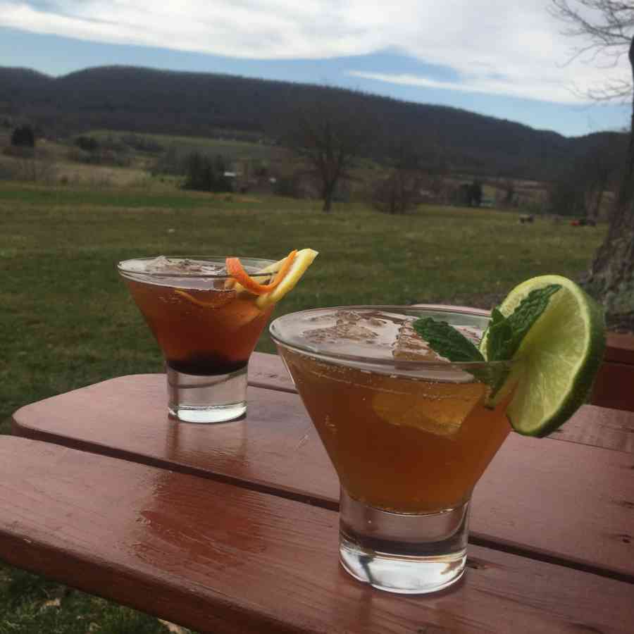Drinks_Lesley Kistner cocktails on the back lawn