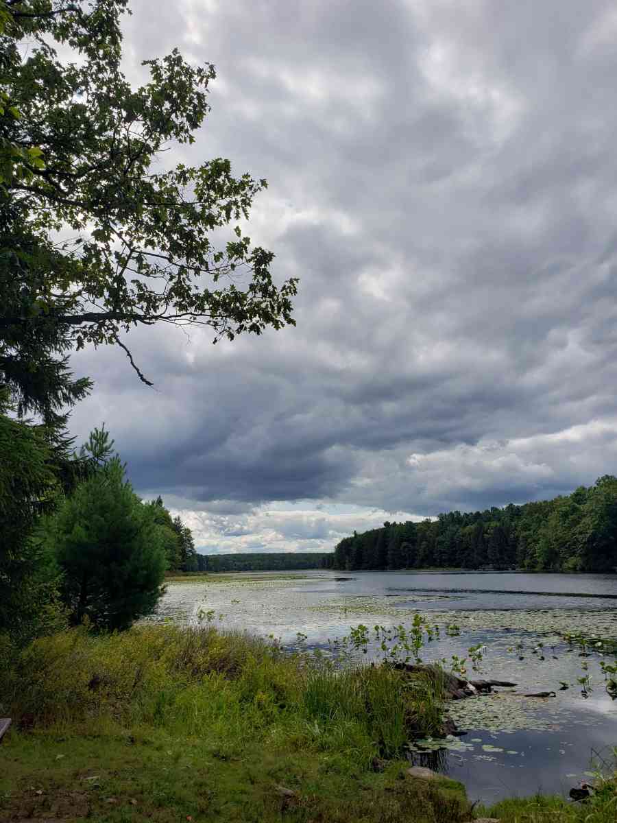 Black Moshannon State Park_20190824 115732