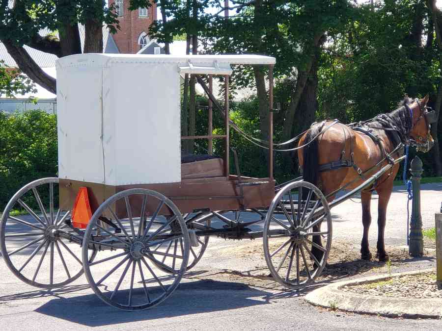 Amish buggy Millheim