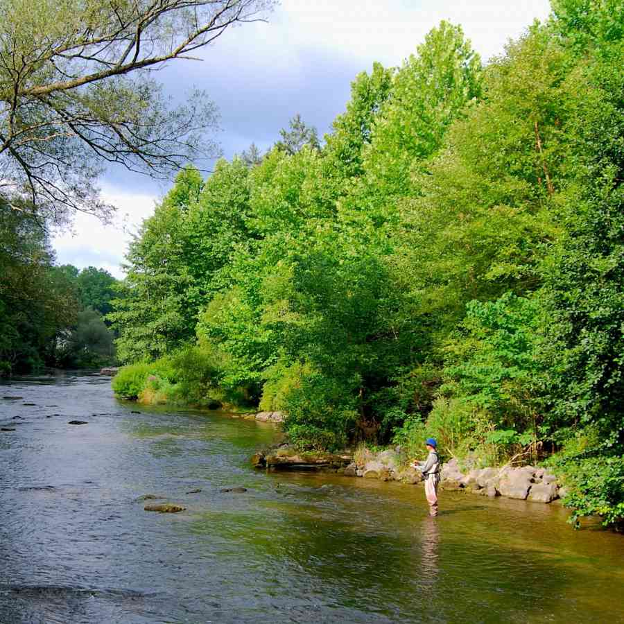 The Headhunter on Spring Creek