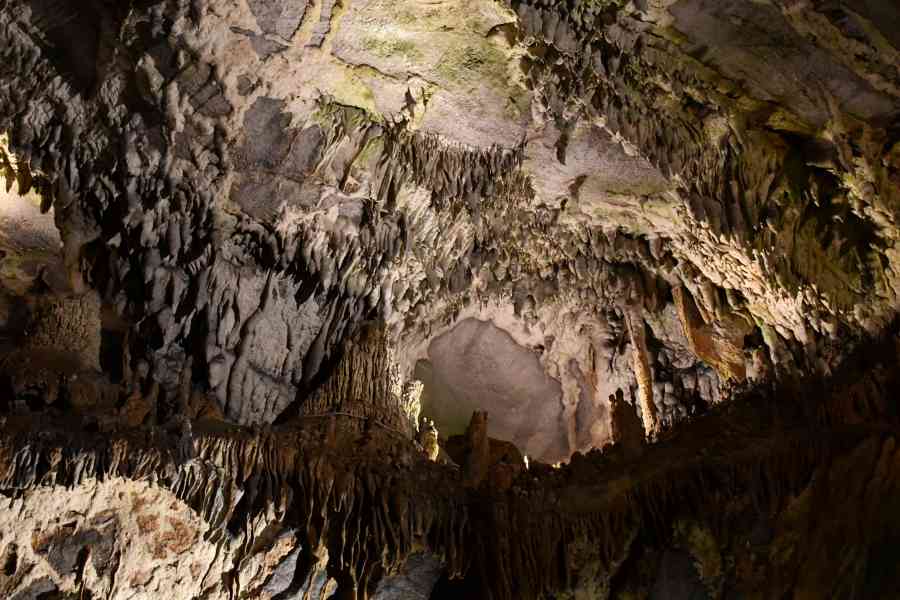 Penns Cave Stalactites
