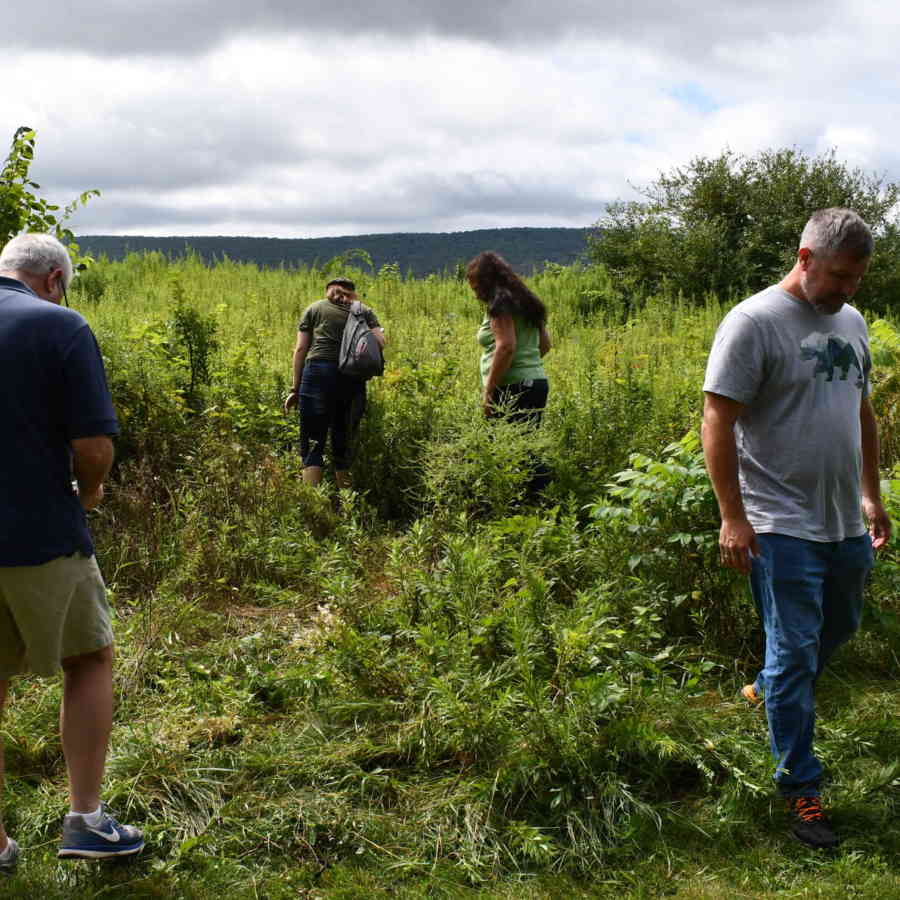 Exploring Different Types of Geocaches