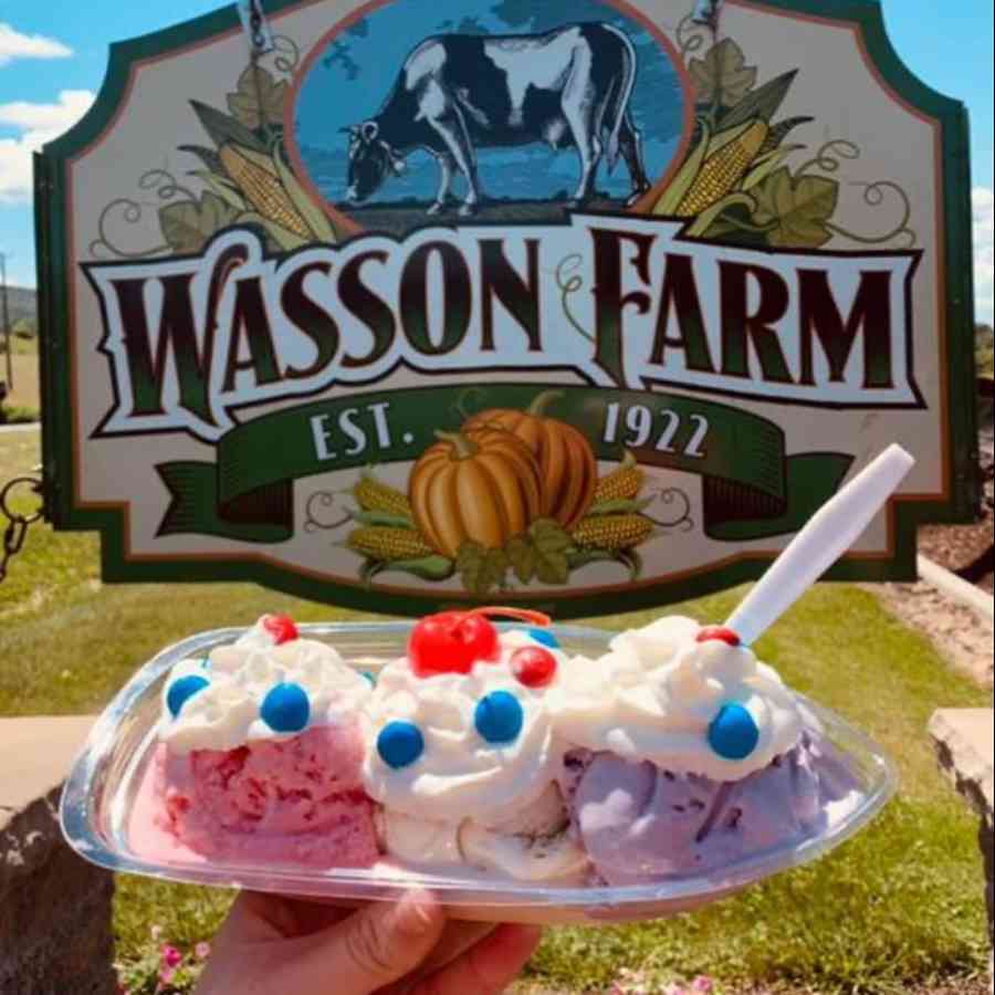 Wasson ice cream