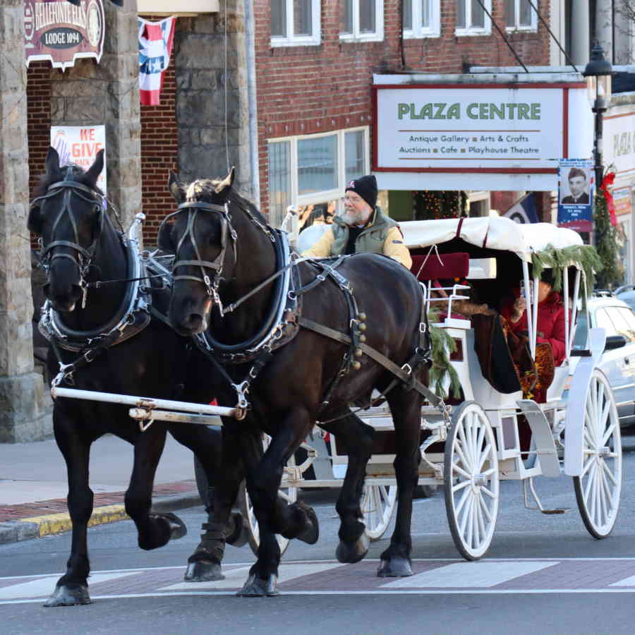 Christmas_horse_carriage