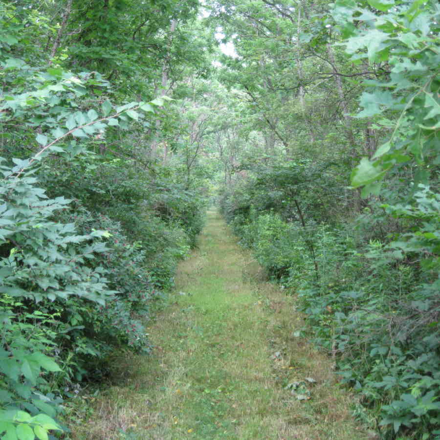 Rhoneymeade trail 4