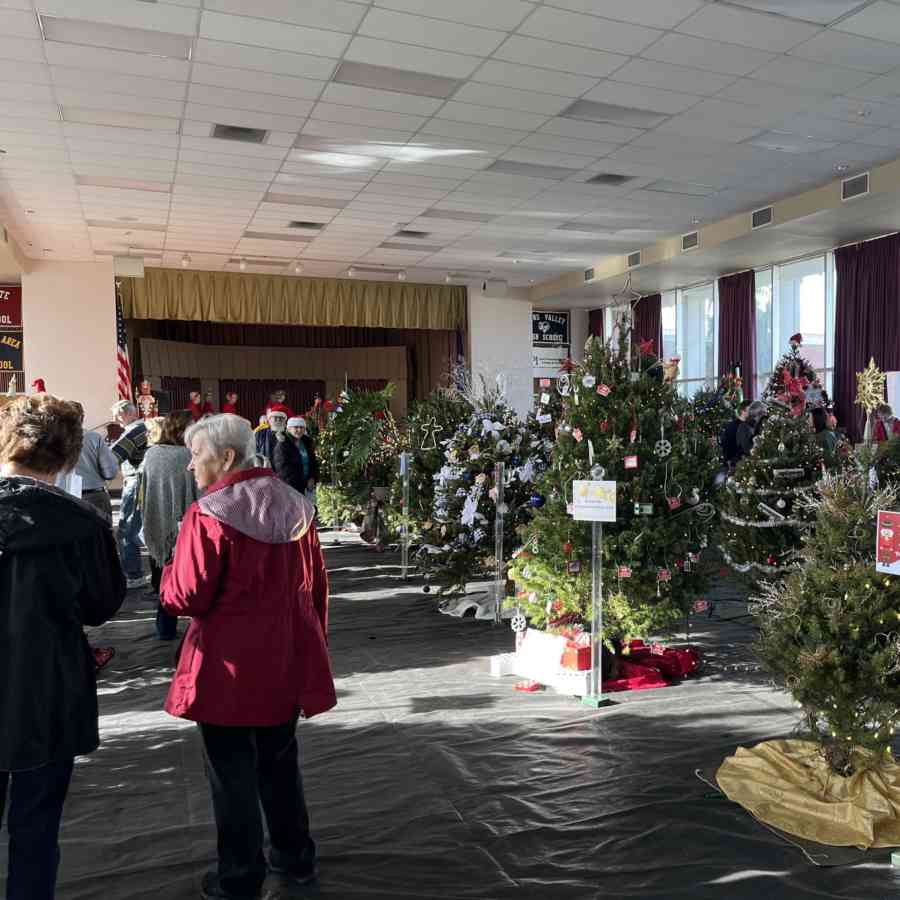 Festival of Trees