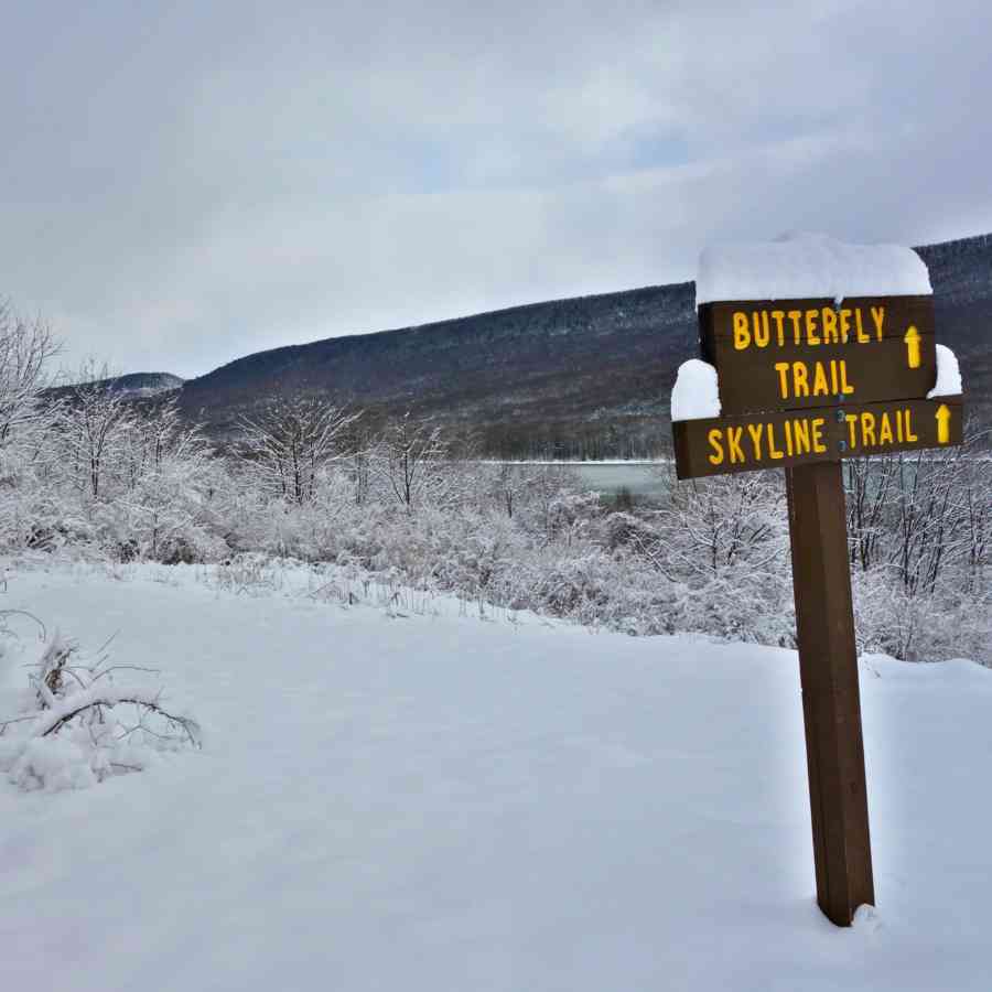 Trails Bald Eagle State Park Nature Inn 2