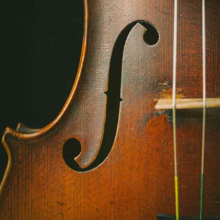 Violin