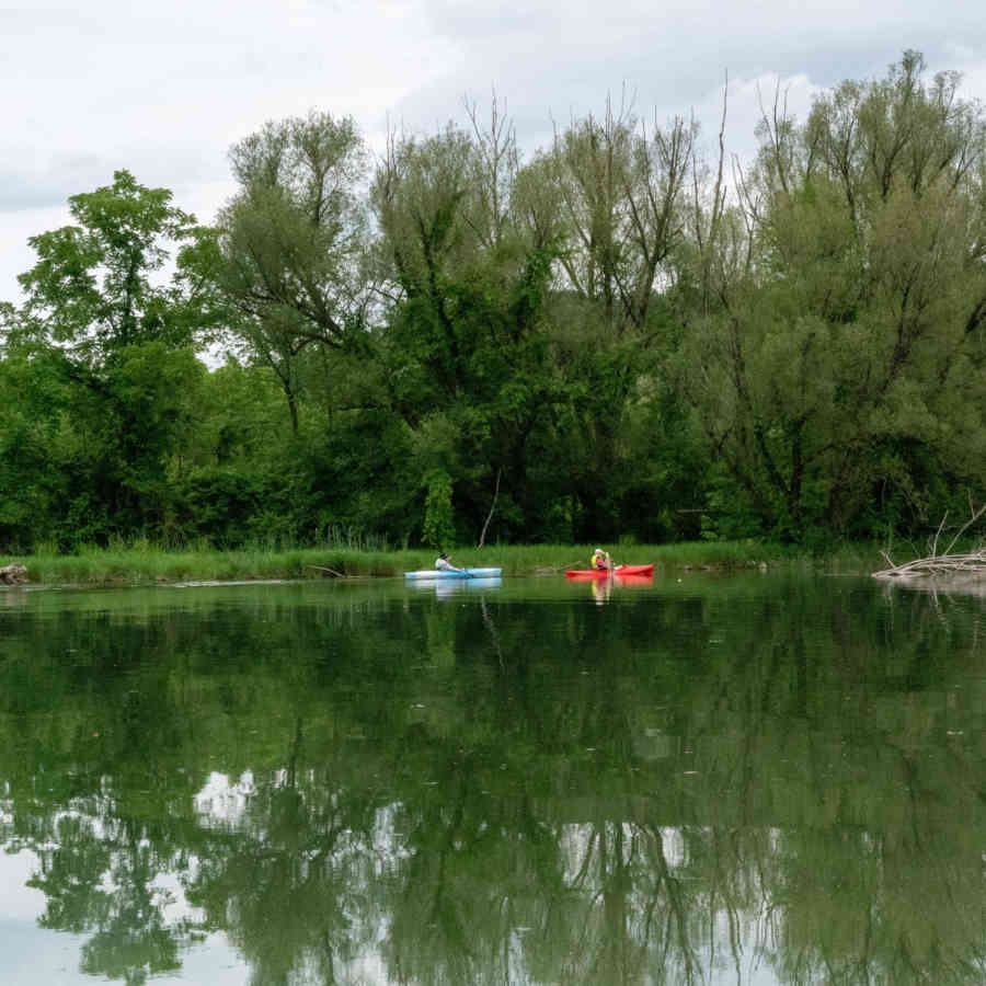 Anna Cook Kayakers