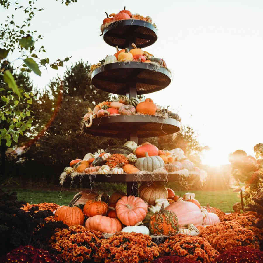 Arboretum_Pumpkins_1