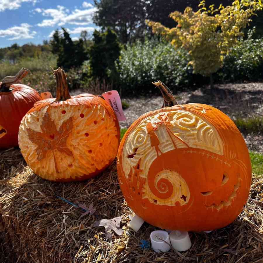 Arboretum_Pumpkins_2