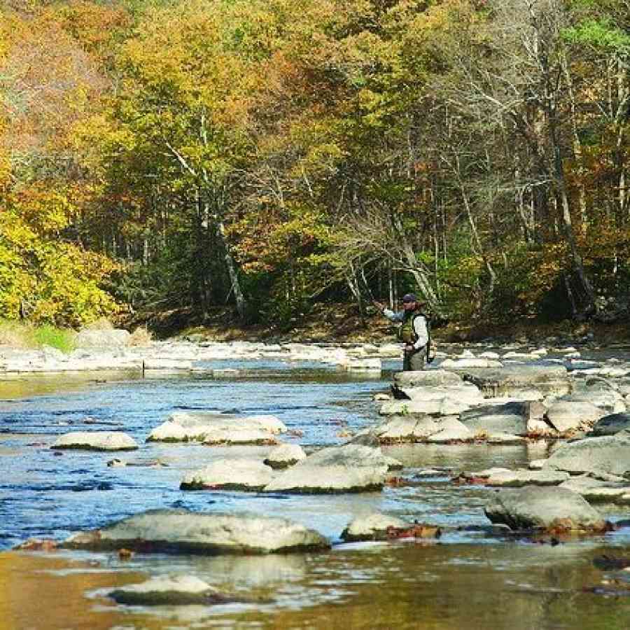 Fall Fly Fishing On Penns Creek Centre County