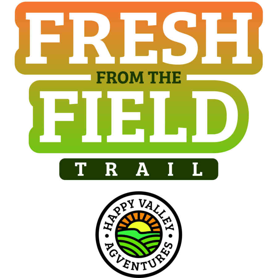 Fresh ft FIELD logo opts 05 1