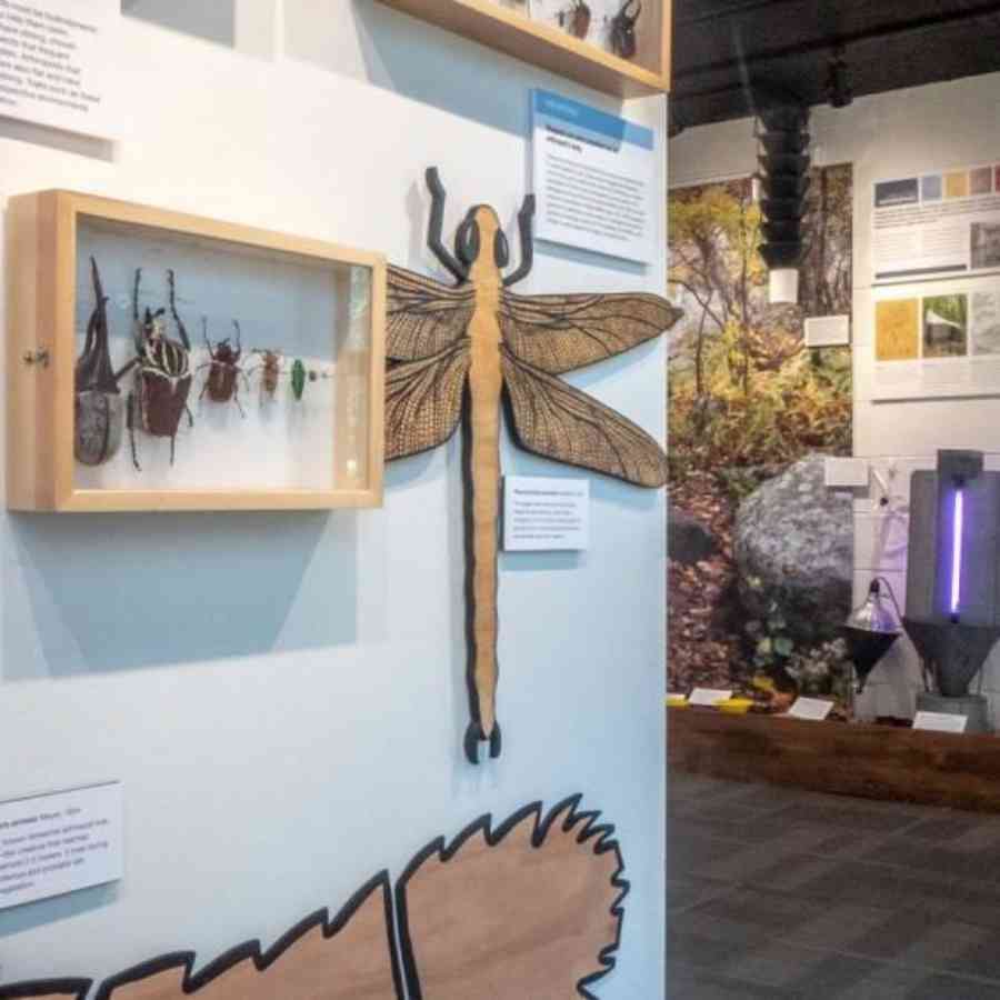 Frost Museum new exhibit Oct 2019 Nick Sloff
