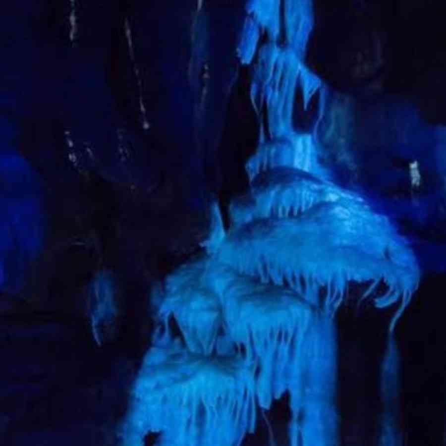 Lincoln Caverns blacklight