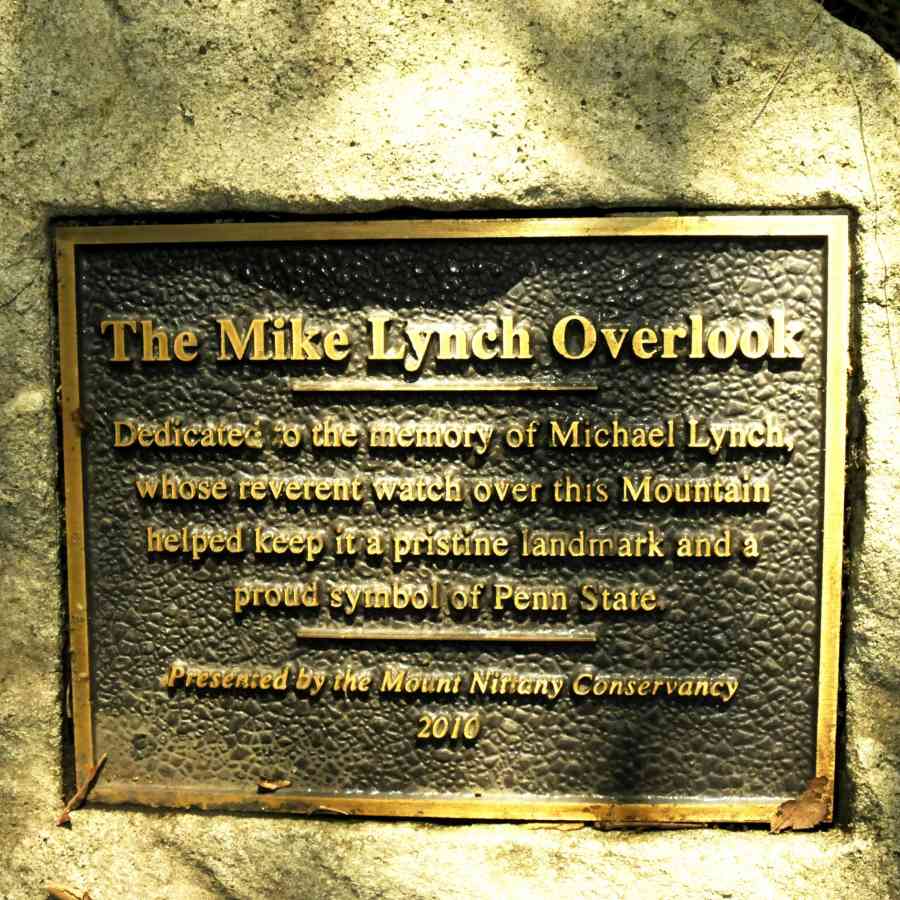 Mike Lynch Dedication