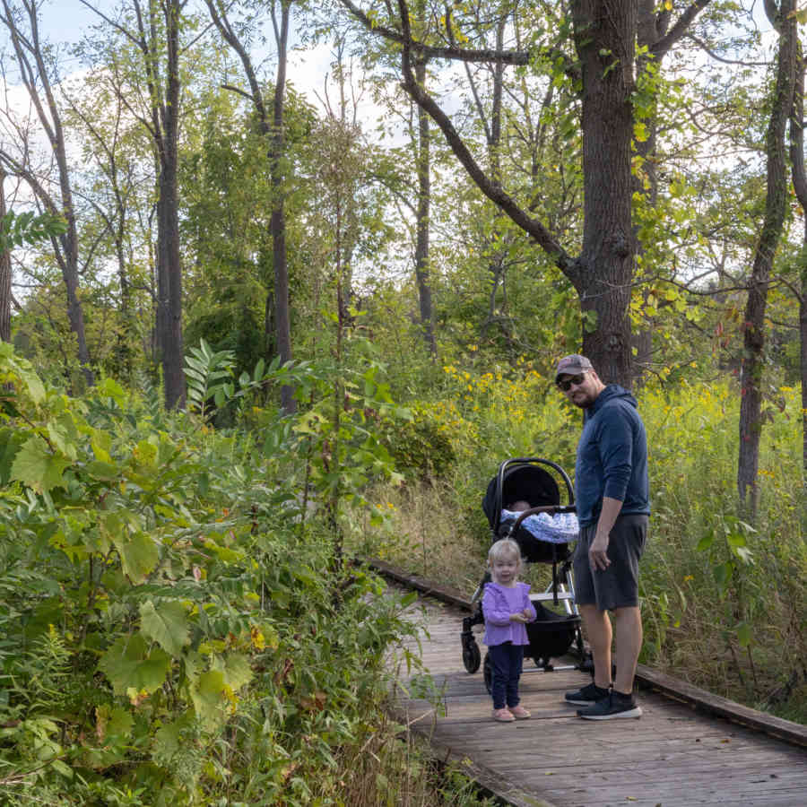 Millbrook Marsh