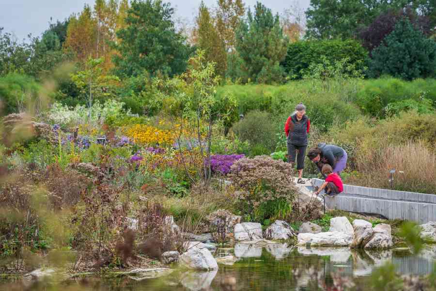 Pollinator and Bird Garden 3014 Rob Cardillo