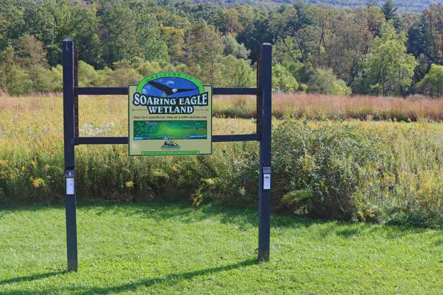 Soaring Eagle Wetland sign 9927 ps NALE