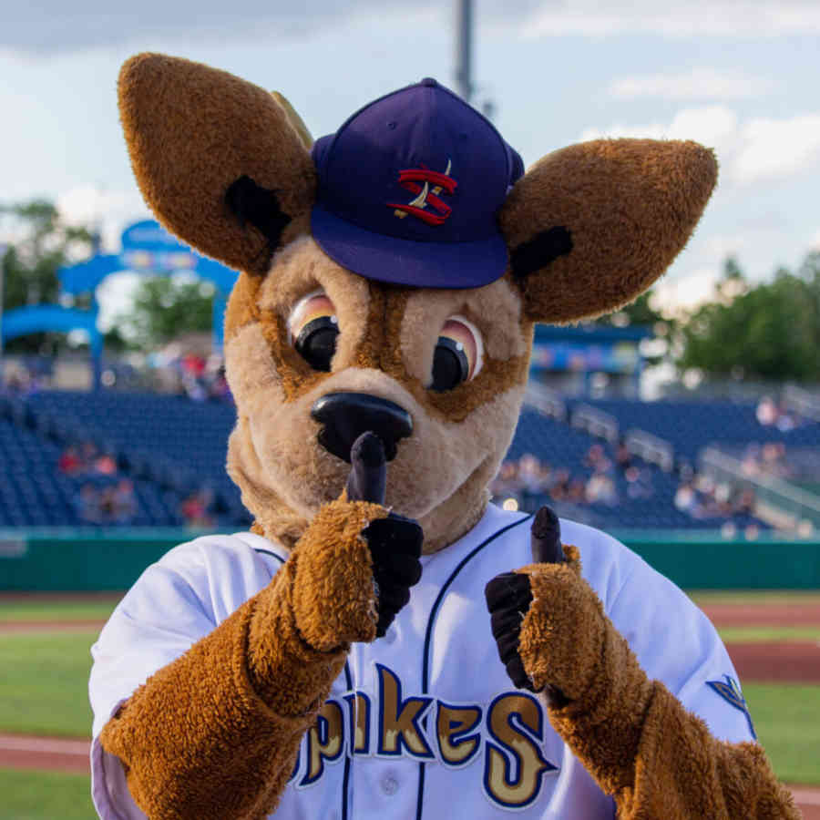 Spike Mascot