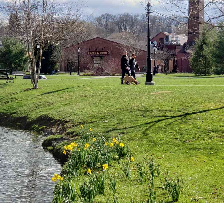 Strolling Lesley Kistner 20200401 183858