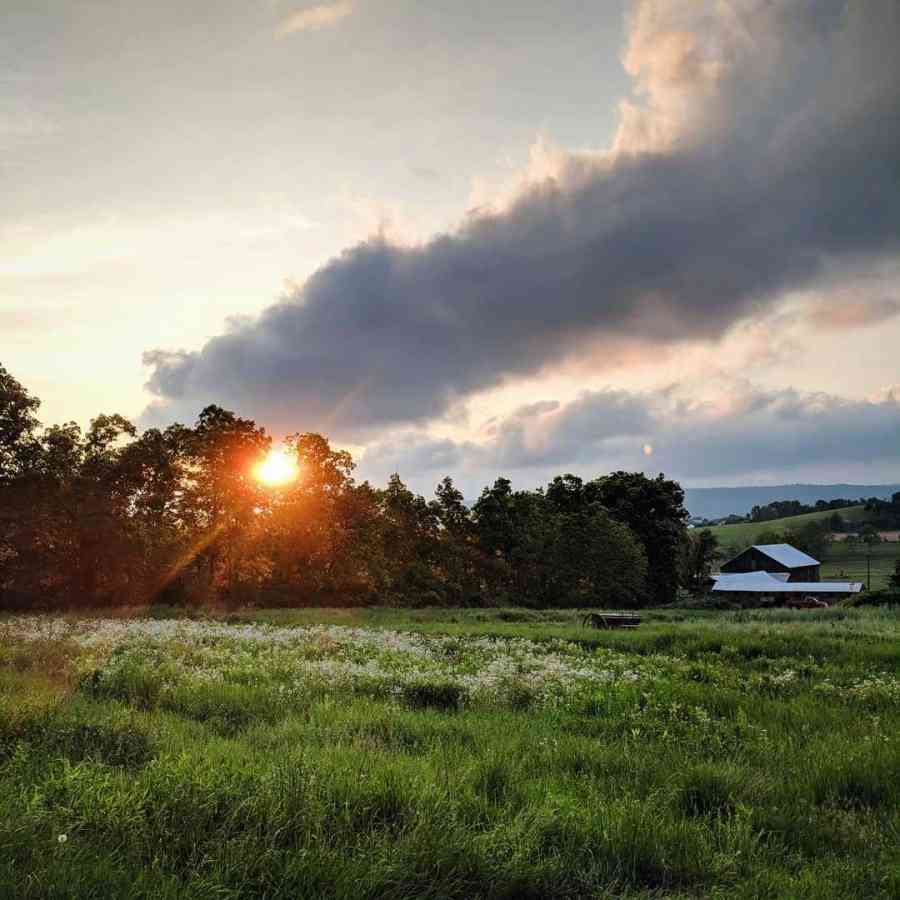 Tait Farm Rear View