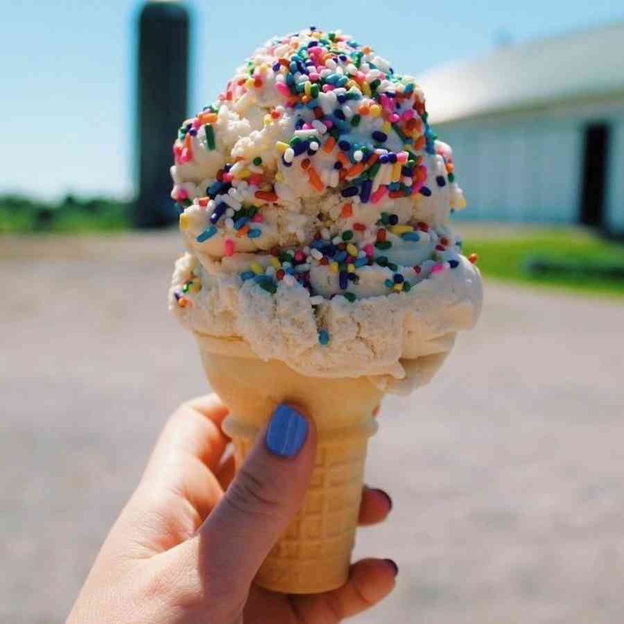 Wasson Farm ice cream