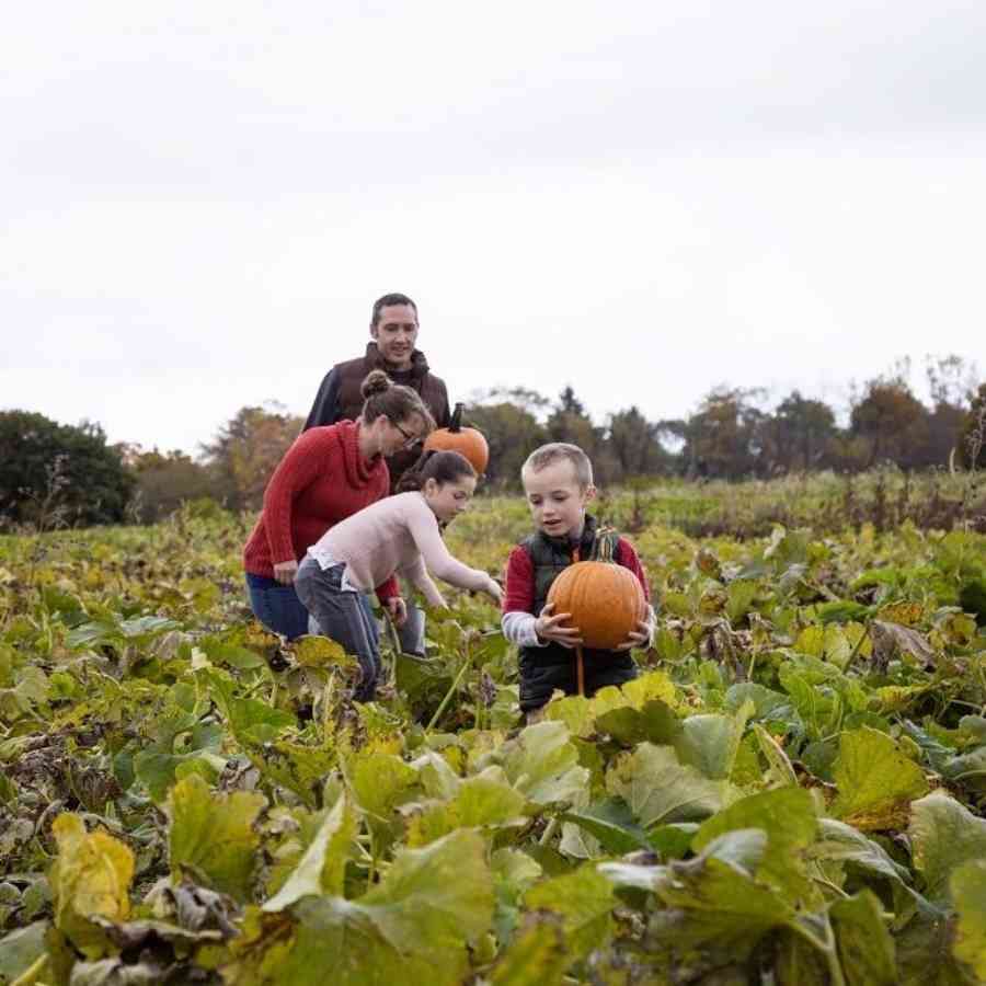 Fall_Kids_Way Fruit Farm pumpkin patch