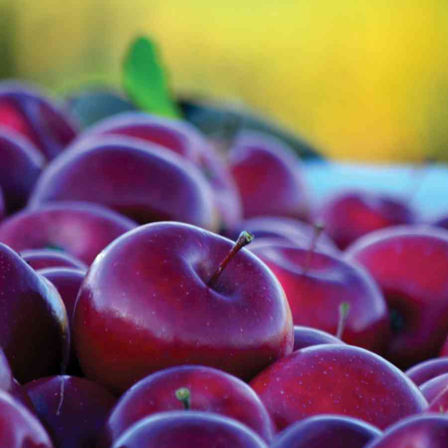 Apples Way Fruit Farm