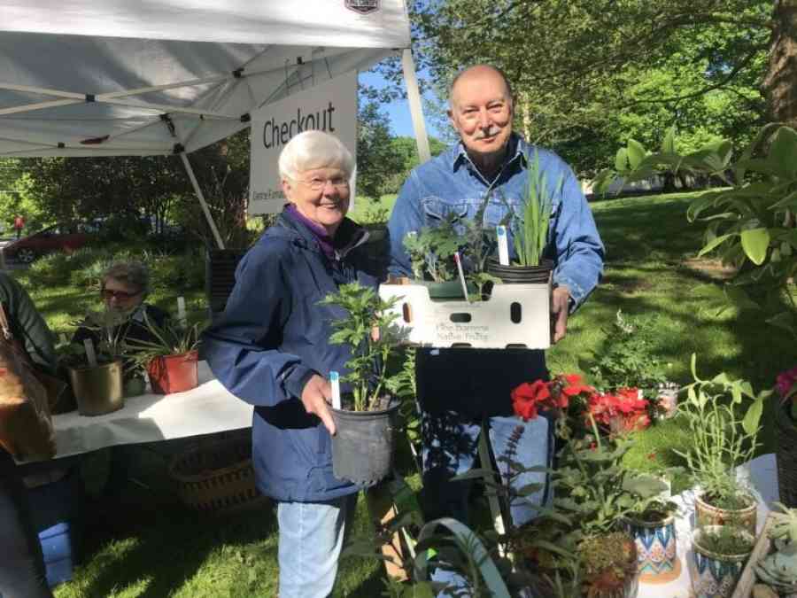 Plant celebration 2021 img 01 768x576