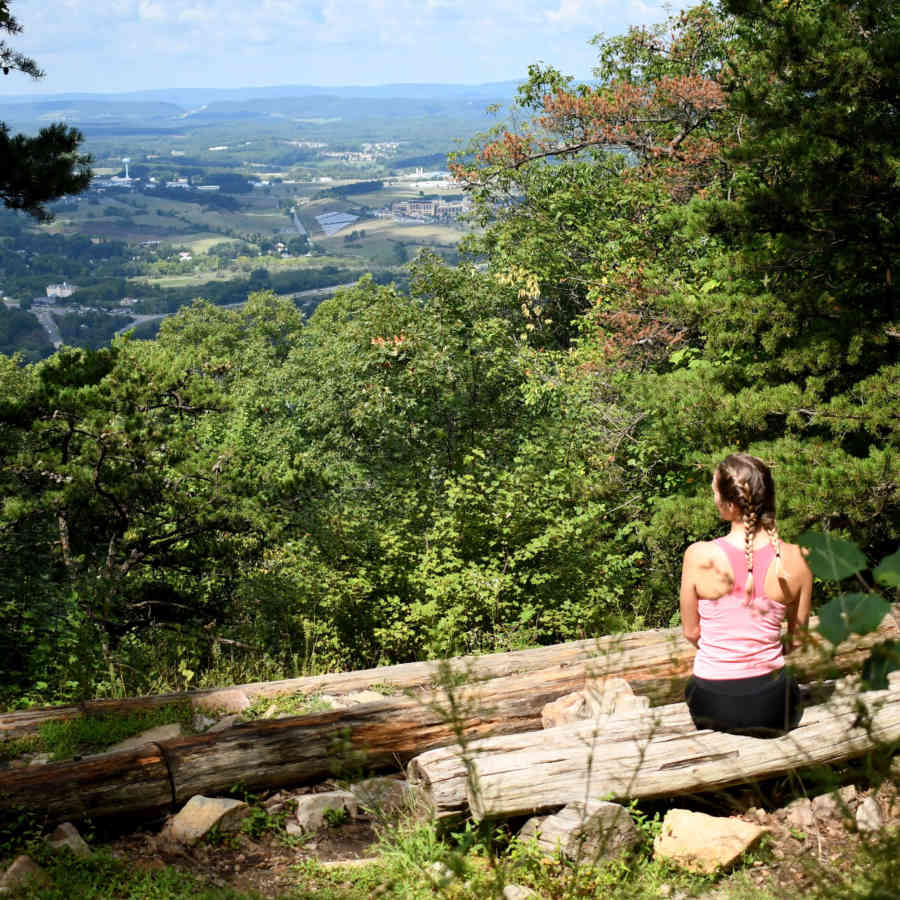 Summer_Mount nittany looking over